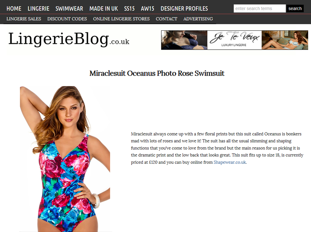 Lingerie blog review