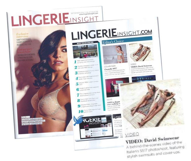 Lingerie Insight David Swim editor video