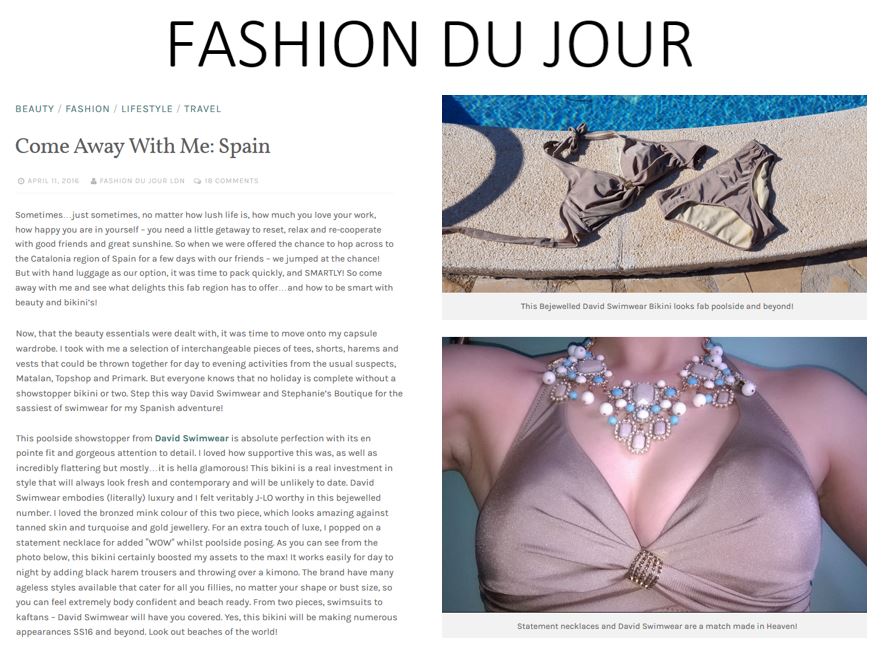 David Bikini Review Fashion Du Jour